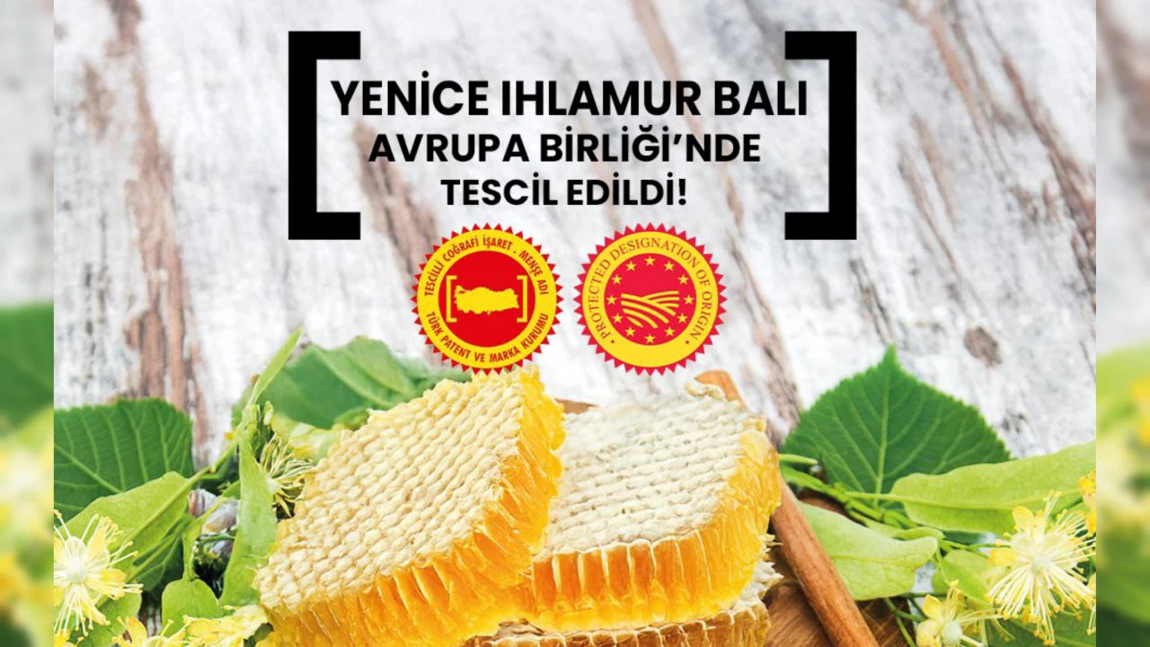 Yenice Ihlamur Balı Avrupa Birliğinde Tescil Edildi